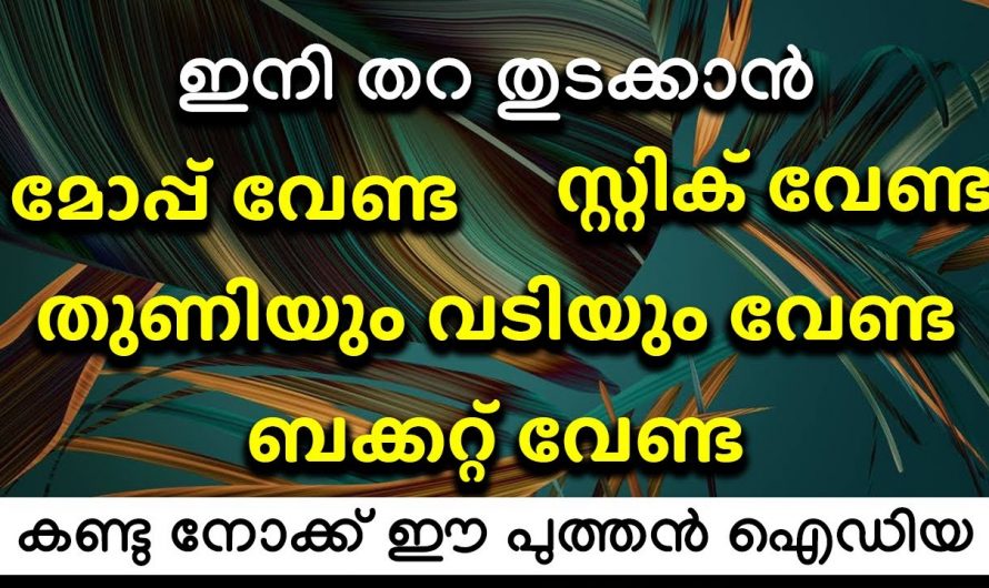 വളരെ എളുപ്പത്തിൽ വീട് വൃത്തിയാക്കുന്നതിന്. 👌