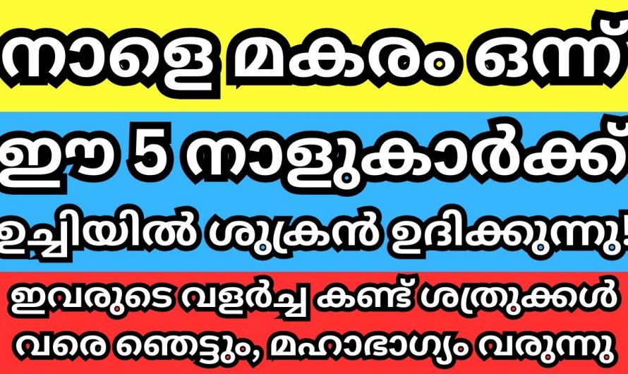 9 നക്ഷത്രക്കാർക്ക് മകരമാസം സൗഭാഗ്യങ്ങളുടെ കാലഘട്ടം…👌