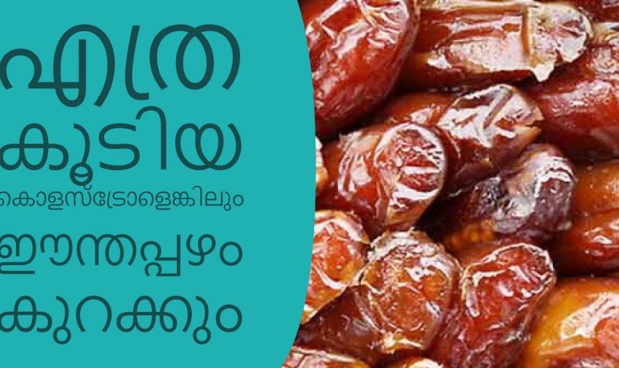 കൊളസ്ട്രോളിന് അകറ്റാം ഈന്തപ്പഴം കഴിച്ചുകൊണ്ട് 🤔