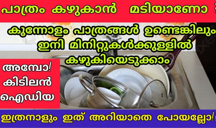 എത്ര പാത്രങ്ങളും നമുക്ക് വെറും ഒറ്റ മിനിറ്റിൽ കഴുകിയെടുക്കാം കിടിലൻ വഴി…👌