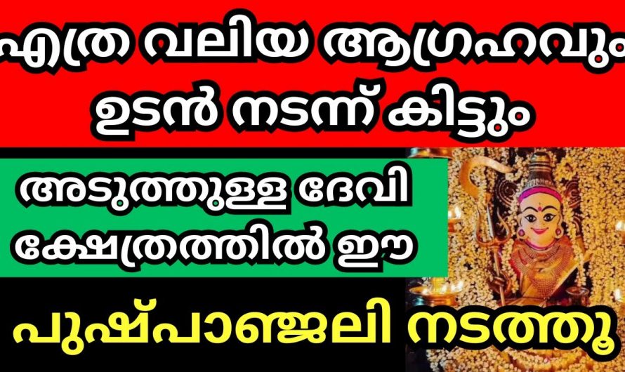 ദേവി ക്ഷേത്രത്തിൽ ഈ ഒരു വഴിപാട് ചെയ്താൽ നിങ്ങളുടെ ഏത് ആഗ്രഹവും  സാധ്യമാകും..