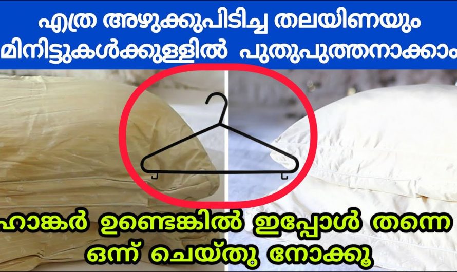 എണ്ണ മെഴുക്കും അഴുക്കുംപുരണ്ട തലയണ വൃത്തിയാക്കി എടുക്കാൻ കിടിലൻ വഴി…😱