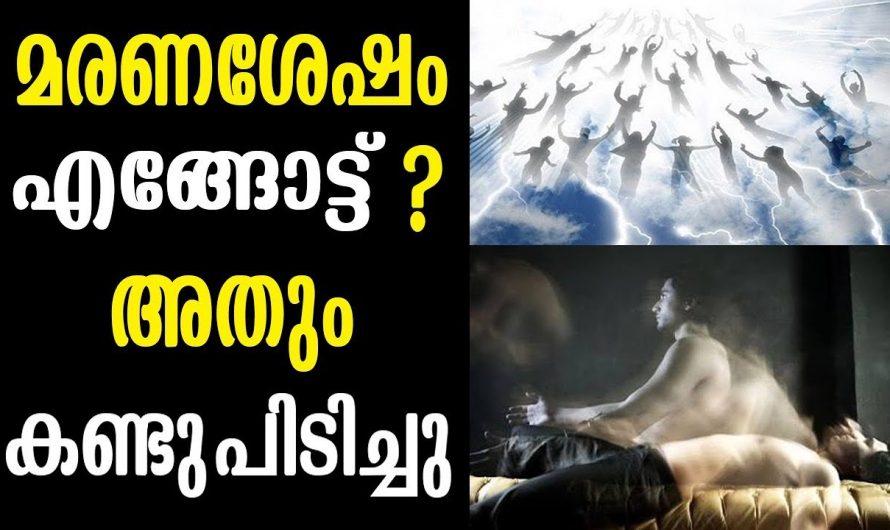 മരണശേഷം എന്ത് എന്നതിന് ഇതാ ഉത്തരം കിട്ടിയിരിക്കുന്നു…👌