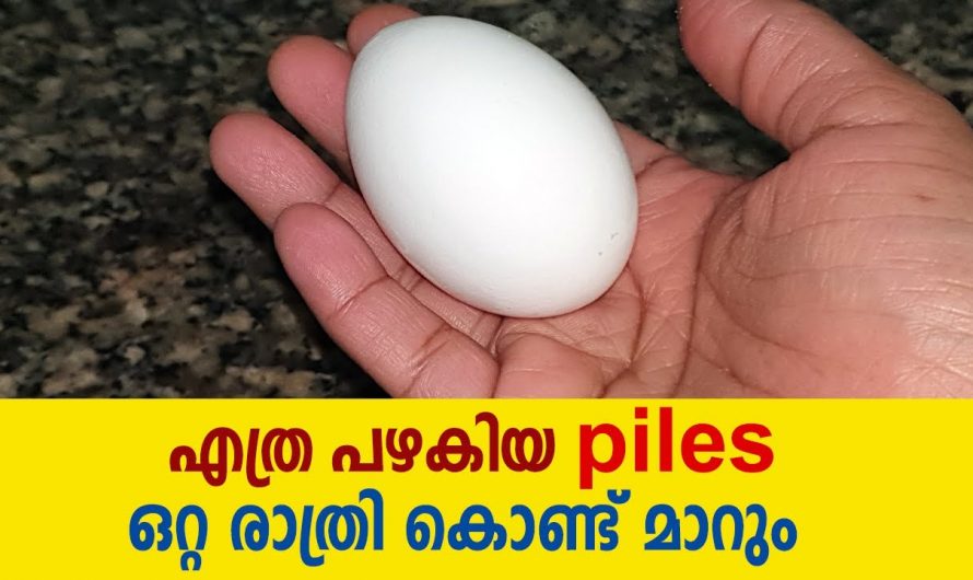 പൈൽസിനെ ഇനി പേടിക്കേണ്ട🤔