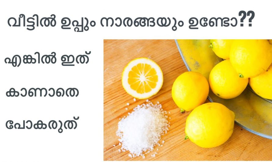 നാരങ്ങാനീരും അല്പം ഉപ്പും ഉപയോഗിച്ച് അടുക്കളയിൽ ഞെട്ടിക്കും മാറ്റം വരുത്താം…👌