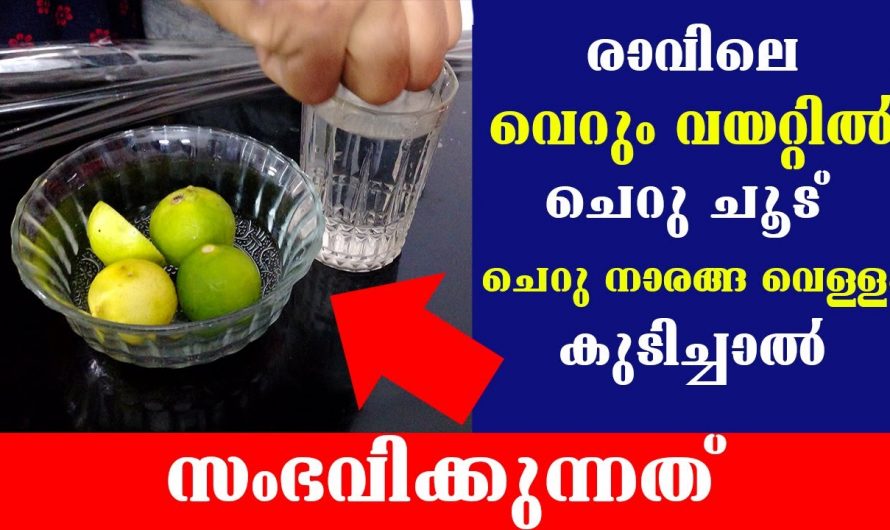 ദിവസം തുടങ്ങുന്നത് ഈ വെള്ളം കുടിച്ചു കൊണ്ടാണെങ്കിൽ ഞെട്ടിക്കും ഗുണങ്ങൾ…👌