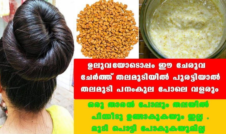 മുടിയുടെ ഒട്ടുമിക്ക പ്രശ്നങ്ങളും മാറും ഉലുവയോടൊപ്പം ഈ ചേരുവ കൂടി ചേർന്നാൽ 🤔