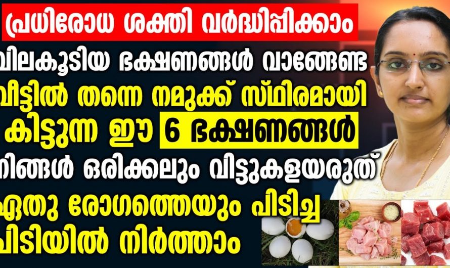 രോഗപ്രതിരോധശേഷി വർദ്ധിപ്പിച്ച് ആരോഗ്യം സംരക്ഷിക്കാൻ..👌