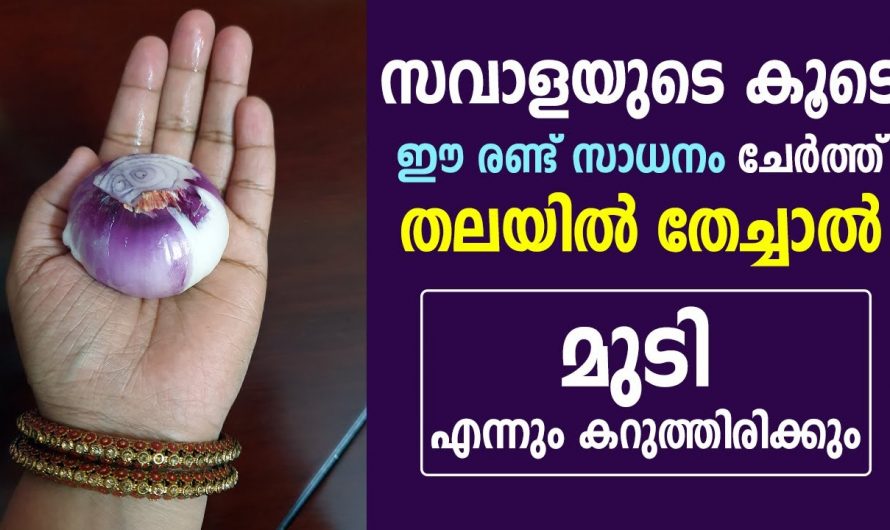 സവാളനീരിനോടൊപ്പം ഇതൊന്ന് ചേർത്ത് മുടിയിൽ തേച്ചു നോക്കൂ മുടി നല്ല കറുപ്പായി മാറും 🙄