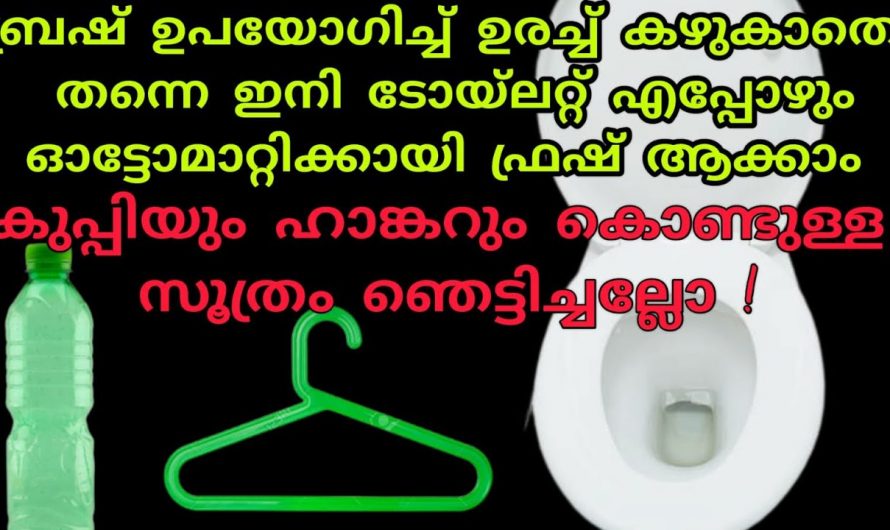 വീട്ടിൽ പൊടി പിടിക്കാതിരിക്കാൻ ഇതാ കിടിലൻ വഴി… 👌