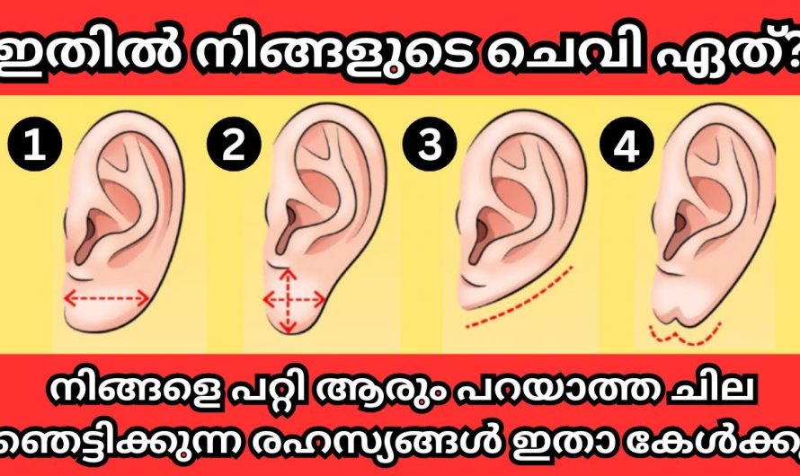 ഭാവിയെ കുറിച്ച് മനസ്സിലാക്കാൻ നിങ്ങളുടെ ചെവിയുടെ ഘടന നോക്കിയാൽ മതി..