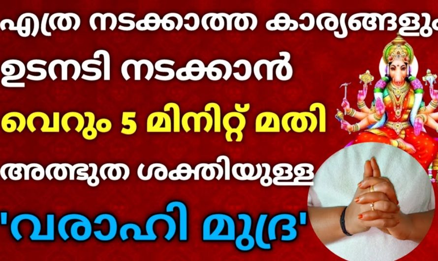 എത്ര വലിയ ഗുരുതര പ്രശ്നമായാലും 5 മിനിറ്റിൽ ഉടനടി പരിഹാരം ലഭിക്കും ഇങ്ങനെ പ്രാർത്ഥിച്ചാൽ മതി.