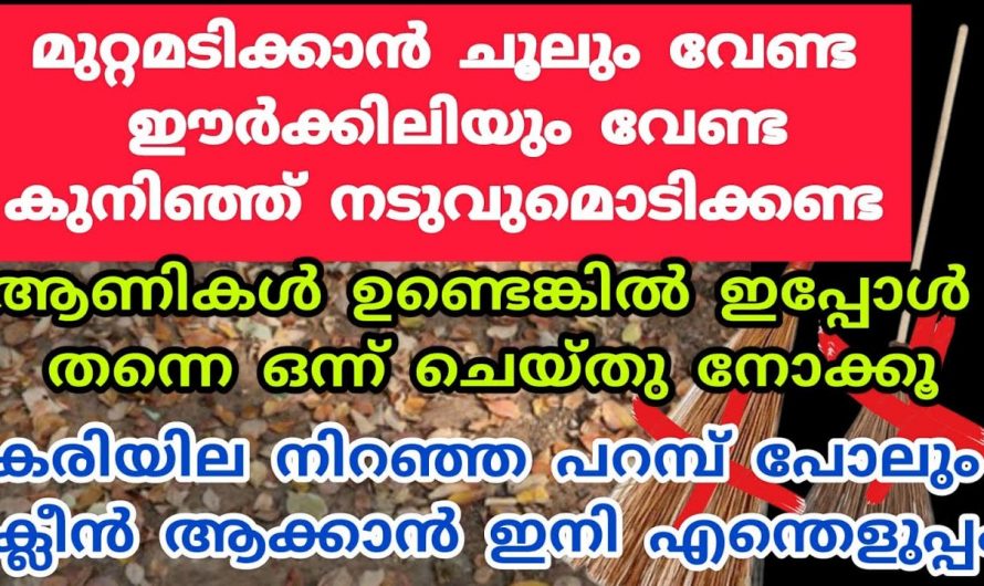 പുറം വേദനയുള്ളവർക്കും ജോലിക്ക് പോകുന്നവർക്കും വേഗത്തിൽ മുറ്റം അടിച്ചുവാരൽ ജോലിഎളുപ്പമാക്കാൻ…