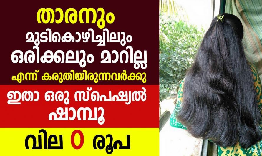 താരനും മുടികൊഴിച്ചിലും മാറി മുടിയെ സംരക്ഷിക്കുവാൻ…