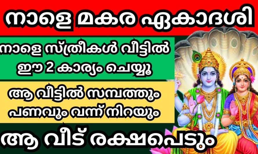 മകരമാസത്തിലെ ഏകദേശി  ദിവസം ഇങ്ങനെ പ്രാർത്ഥിച്ചാൽ ജീവിതം ഐശ്വര്യപൂർണ്ണമാകും.