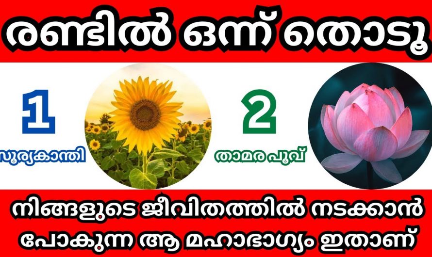 നിങ്ങളുടെ ഭാവിയെ മനസ്സിലാക്കാൻ ഇതിൽ നിന്ന് ഒന്ന് തിരഞ്ഞെടുക്കു..