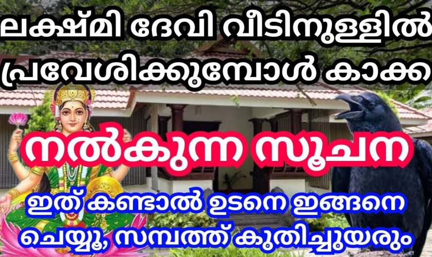 മഹാലക്ഷ്മിയുടെ അനുഗ്രഹം ഉള്ള വീടുകളിൽ കാണുന്ന ലക്ഷണങ്ങൾ…