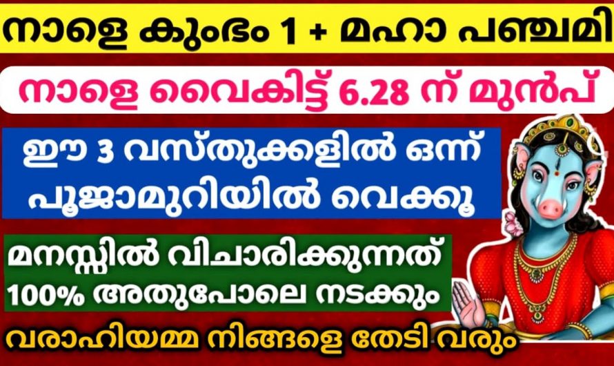 വരാഹിദേവിയോട് പ്രാർത്ഥിക്കുന്നത് നിങ്ങളുടെ ജീവിതത്തിൽ അനുഗ്രഹങ്ങൾ ലഭ്യമാകുന്നതിന് സാധ്യമാകും…