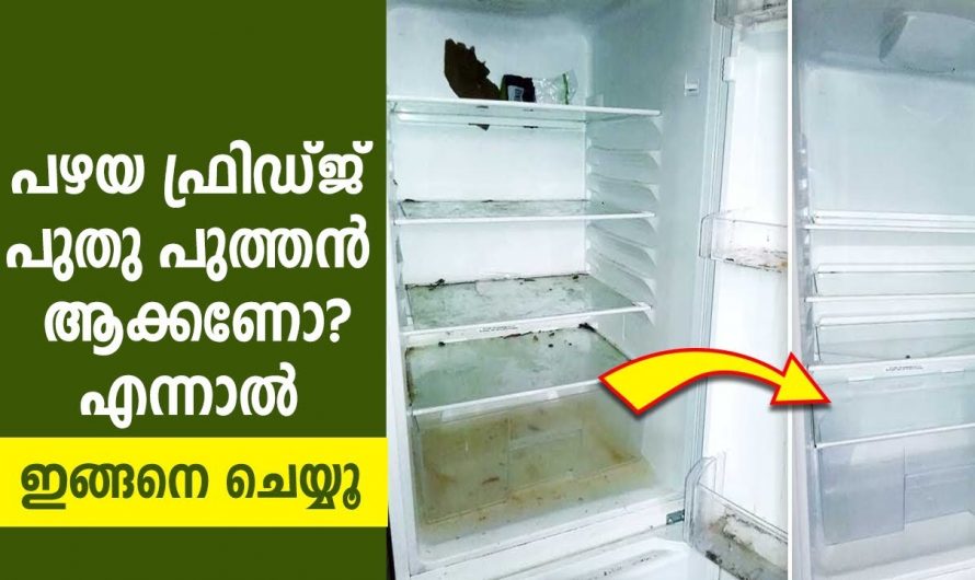 ടിവി ഫ്രിഡ്ജ് വാഷിംഗ് മെഷീൻ തുടങ്ങിയവ പുത്തൻ ആയിരിക്കും ഇങ്ങനെ ചെയ്താൽ.