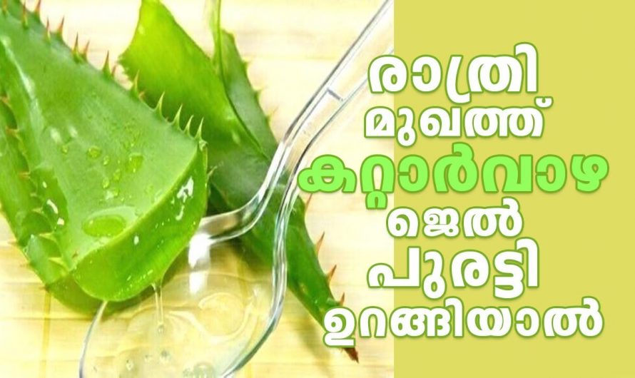 ദിവസവും കറ്റാർവാഴ ജെൽ മുഖത്ത് പുരട്ടിയാൽ ഉള്ള ഗുണങ്ങൾ.