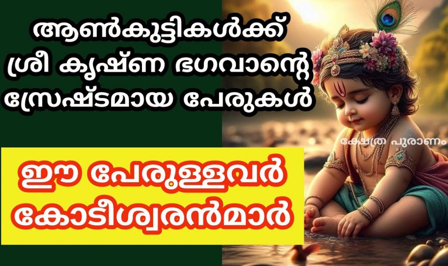 ശ്രീകൃഷ്ണ ഭഗവാന്റെ ഈ പേരുകൾ ആൺകുട്ടികൾക്ക് ഇടാൻ അത്യുത്തമം…