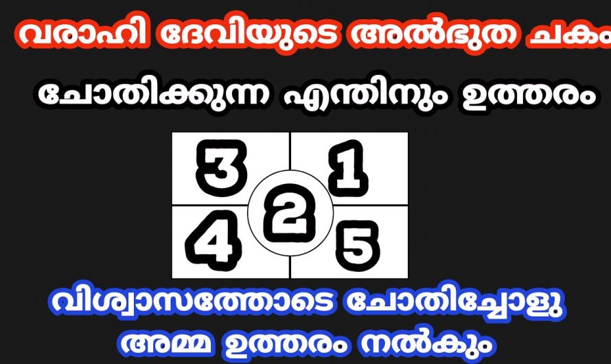 ജീവിതത്തിൽ  വരാഹി ദേവിയോട് പ്രാർത്ഥിച്ചാൽ എല്ലാ അനുഗ്രഹങ്ങളും ലഭ്യമാകും..