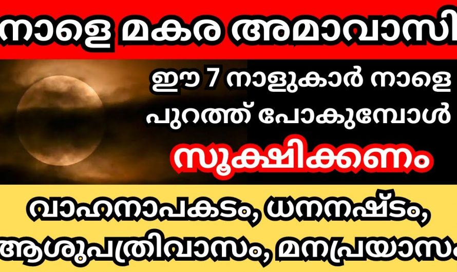 മകര മാസത്തിലെ ഏകദേശി ദിവസം ഈ നക്ഷത്രക്കാർ  വളരെയധികം ശ്രദ്ധിക്കുക..