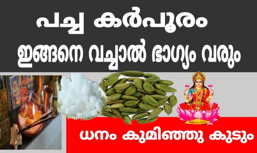 പച്ചക്കർപ്പൂരം  ഇങ്ങനെ ചെയ്താൽ വീട്ടിൽ പണം കുമിഞ്ഞു കൂടും…