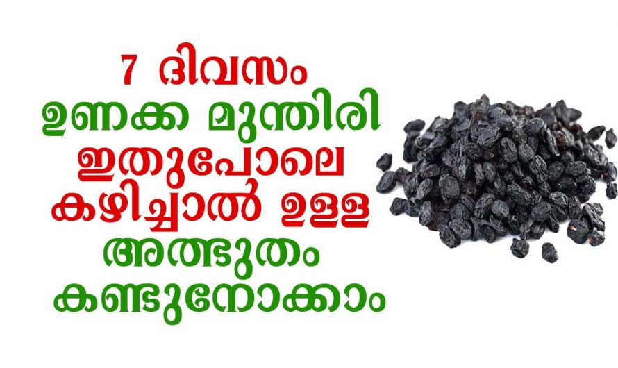 ദിവസവും ഉണക്കമുന്തിരി കഴിച്ചാലുള്ള ഗുണങ്ങൾ.