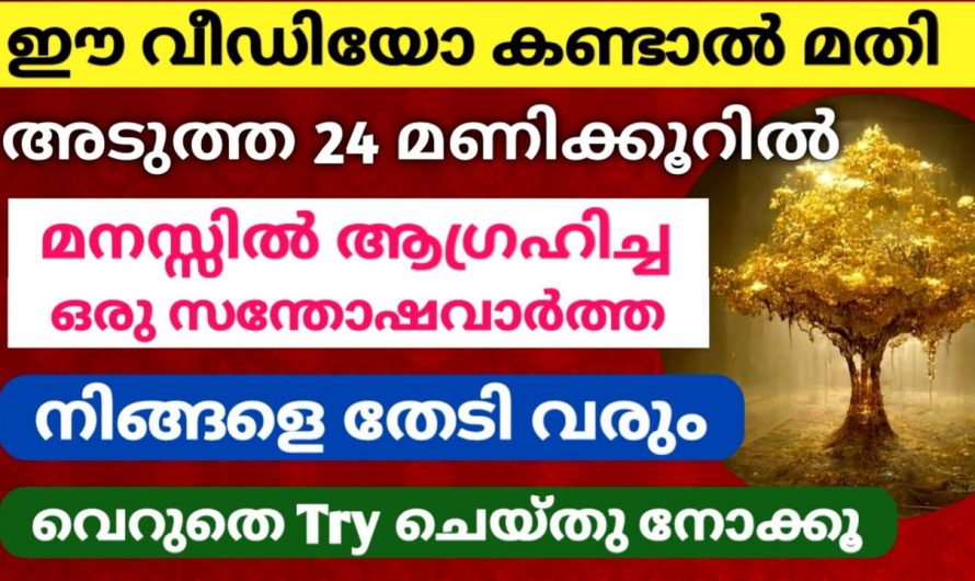 ഇത്തരം കാര്യങ്ങൾ ശ്രദ്ധിച്ചാൽ ജീവിതത്തിൽ വിജയം ഉറപ്പായും ഉണ്ടാകും…