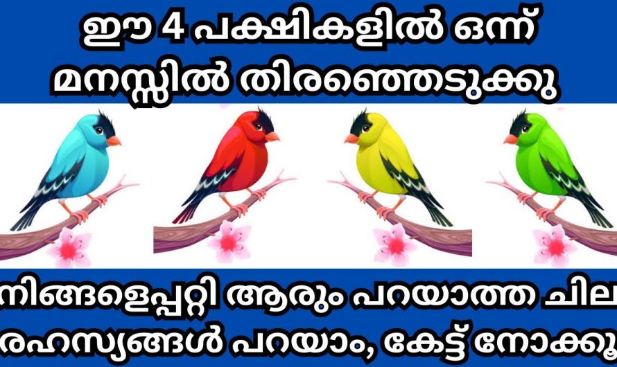 ഭാവിയെ കുറിച്ച് അറിയാൻ നിങ്ങൾ ഇത്രമാത്രം ചെയ്താൽ മതി..