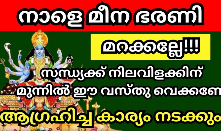 മീനമാസം ഒന്നാം തീയതി ഒരു കാര്യം ചെയ്താൽ നിങ്ങളുടെ ജീവിതം രക്ഷപ്പെടും…