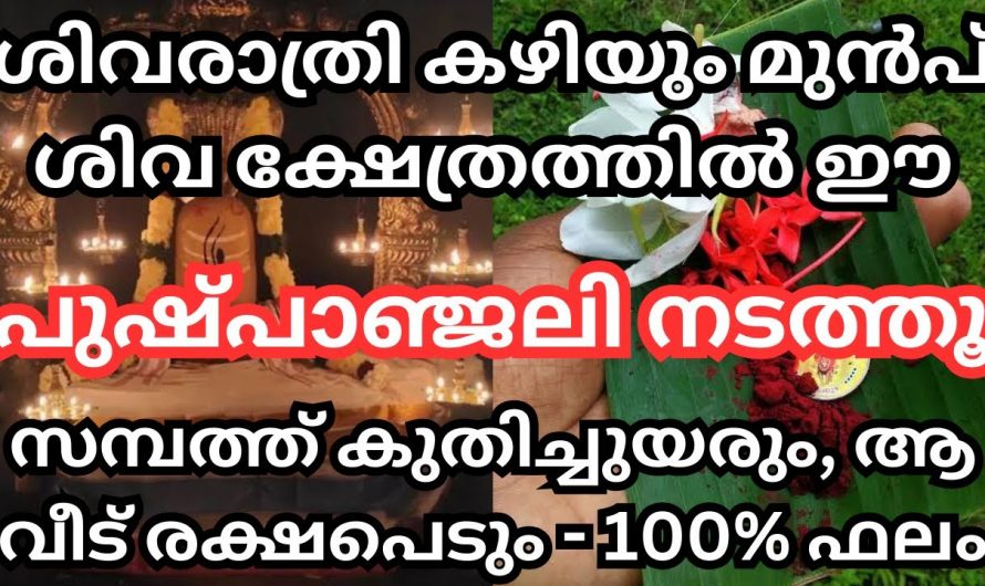 ശിവരാത്രി ആകുന്നതിനു മുൻപ് ഈ വഴിപാട് ചെയ്ത് പ്രാർത്ഥിച്ചാൽ ലഭിക്കുന്ന അനുഗ്രഹങ്ങൾ…