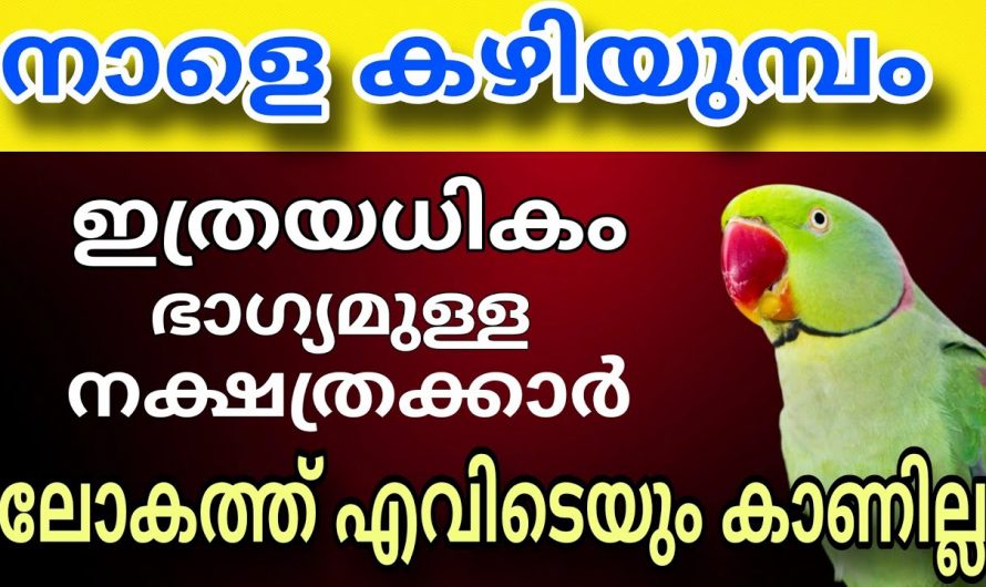 ഈ നക്ഷത്ര സൗഭാഗ്യങ്ങൾ ലഭ്യമാകും ഒപ്പം വീട്ടുകാർക്കും..