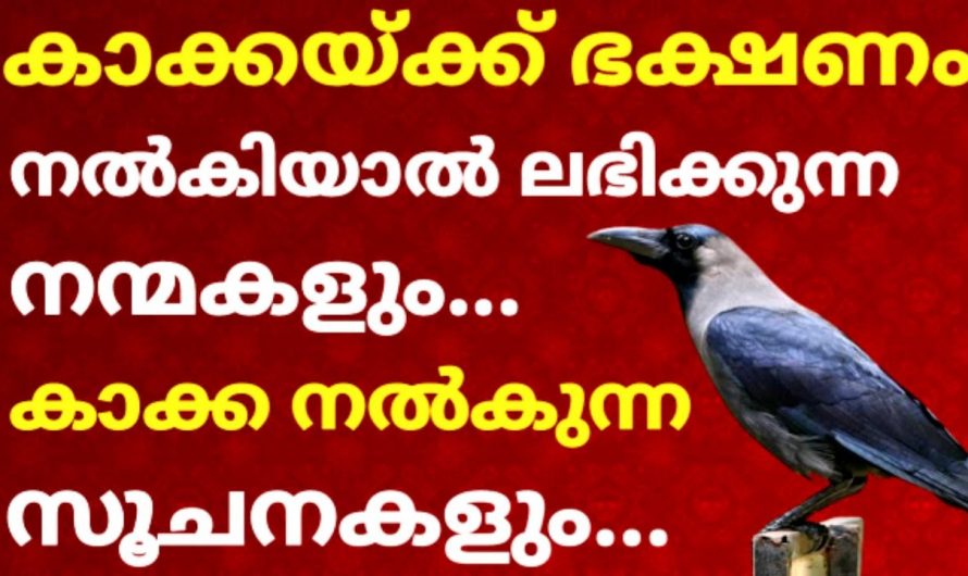 ശനിയാഴ്ച ദിവസങ്ങളിൽ കാക്കയ്ക്ക് ഭക്ഷണം നൽകിയ ലഭിക്കുന്ന അനുഗ്രഹങ്ങൾ..