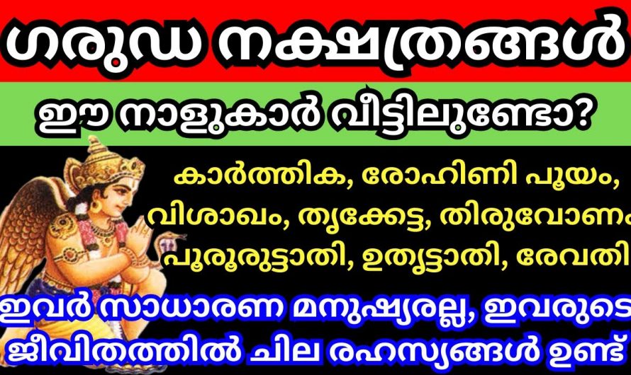 ഈ നക്ഷത്രക്കാർ ഗരുഡ നക്ഷത്രക്കാർഇവരെക്കുറിച്ച് കൂടുതൽ മനസ്സിലാക്കുക…