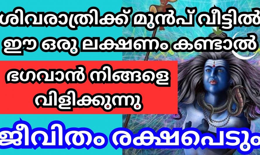 ഈ ലക്ഷണം നിങ്ങളുടെ വീട്ടിൽ കണ്ടാൽ ശിവ ഭഗവാന്റെ അനുഗ്രഹം ശിവരാത്രിക്ക് ഉറപ്പ്…