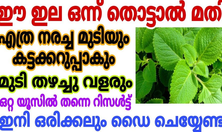 കാലനര  മാറ്റാൻ ഇതാ ആയുർവേദ വഴികൾ