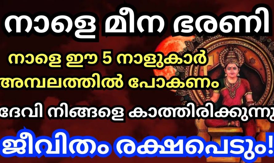 മീനഭരണി ദിവസം ഈ നക്ഷത്രക്കാർ നിർബന്ധമായും ദേവീക്ഷേത്രങ്ങളിൽ പോയി പ്രാർത്ഥിക്കണം..