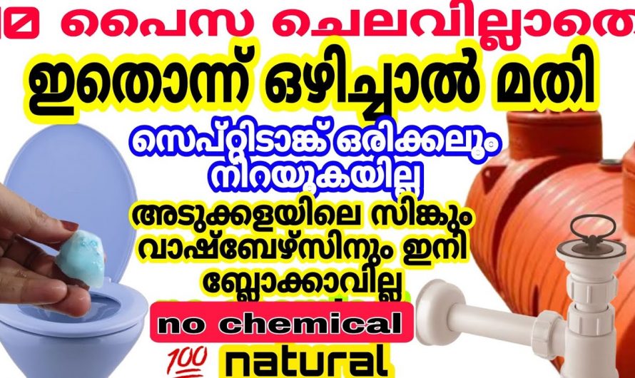 ക്ലോസറ്റിലെ ദുർഗന്ധം പരിഹരിക്കാൻ ഇതാ കിടിലൻ മാർഗ്ഗം…