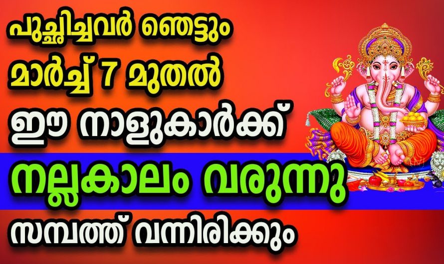 ഈ നക്ഷത്രക്കാർക്ക് ഇനി നല്ല സമയം തുടങ്ങുന്നു.