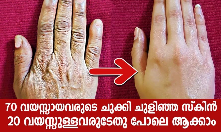 ചർമ്മത്തിലെ യൗവനം നിലനിർത്തി സംരക്ഷിക്കാൻ..