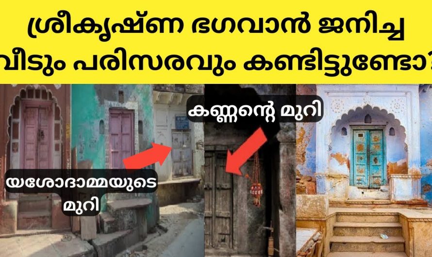 ശ്രീകൃഷ്ണ ഭഗവാന്റെ വീടും വൃന്ദാവനവും ആരെയും ഞെട്ടിക്കും..