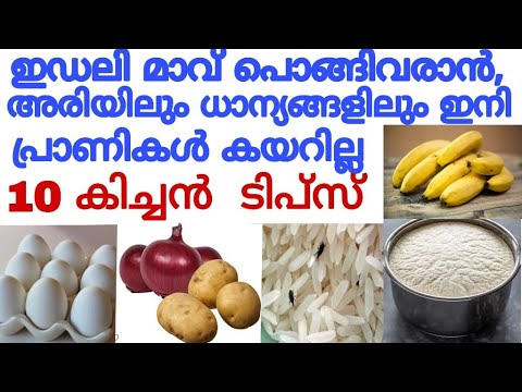 അടുക്കള സാധനങ്ങൾ സൂക്ഷിക്കുമ്പോൾ സൂക്ഷിക്കേണ്ട കാര്യങ്ങൾ.