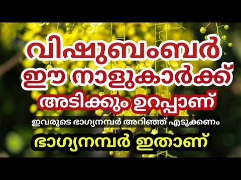 ഈ നക്ഷത്രക്കാർക്ക് ലോട്ടറി അടിച്ചിരിക്കും..