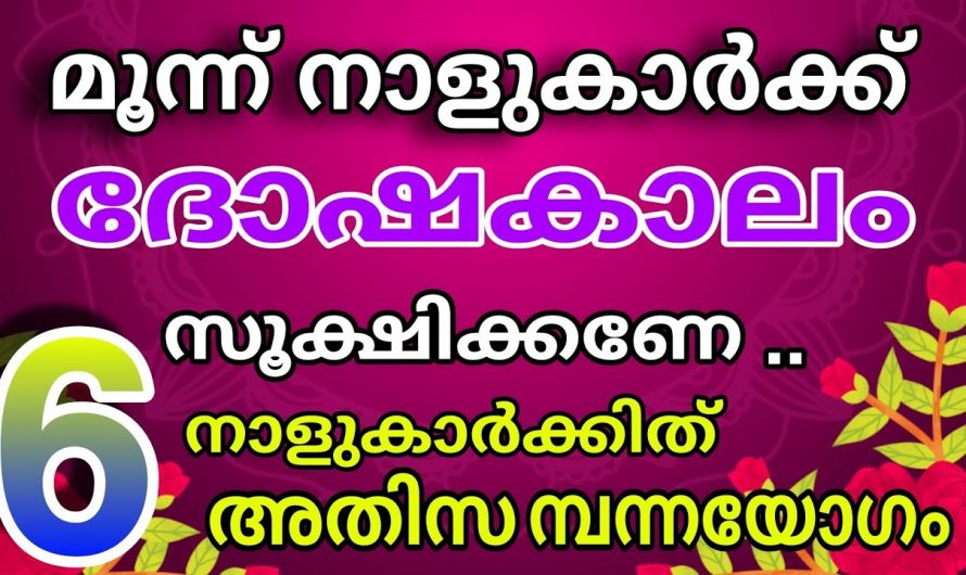 ഈ നക്ഷത്രജാതകരെ ഒട്ടും വിഷമിപ്പിക്കേണ്ട ഇവർക്ക് രാജയോഗത്തേക്കാൾ  വലിയ ഭാഗ്യം കൈവരിക്കുന്നു