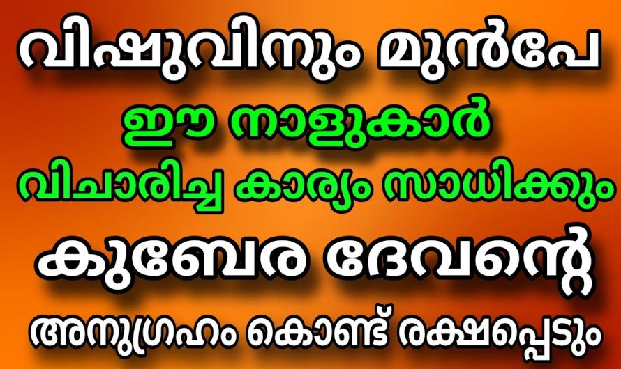 വിഷനു മുമ്പ് തന്നെ നക്ഷത്രക്കാർക്ക് വളരെയധികം സൗഭാഗ്യം..