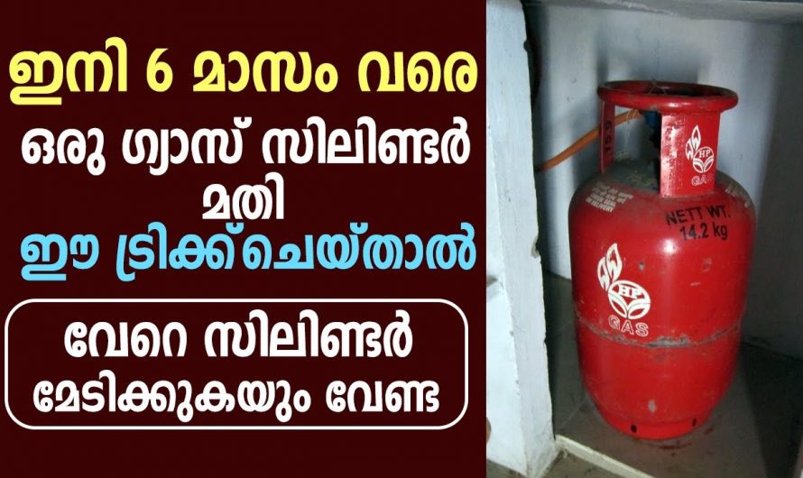 ഇതൊന്നു ശ്രദ്ധിച്ചാൽ അടുക്കളയിലെ ഗ്യാസ് സിലിണ്ടർ  ലാഭിക്കാം