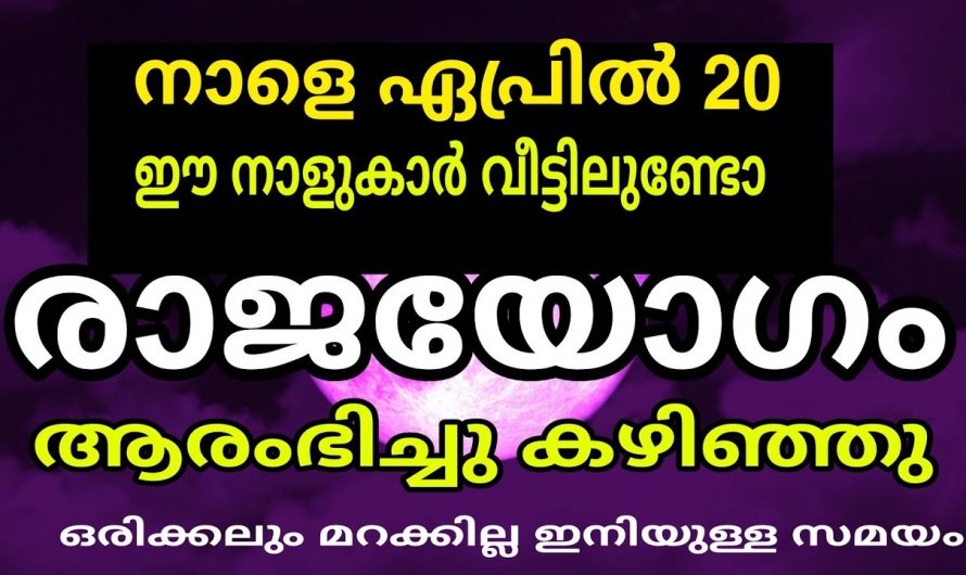 ഈ നാളുകാരുടെ  ജീവിതത്തിൽ സൗഭാഗ്യമാണ് രാജ്യയോഗം അല്ല വരാൻ പോകുന്നത് ഈ നാളുകാരെ കുറിച്ച് അറിയാം.