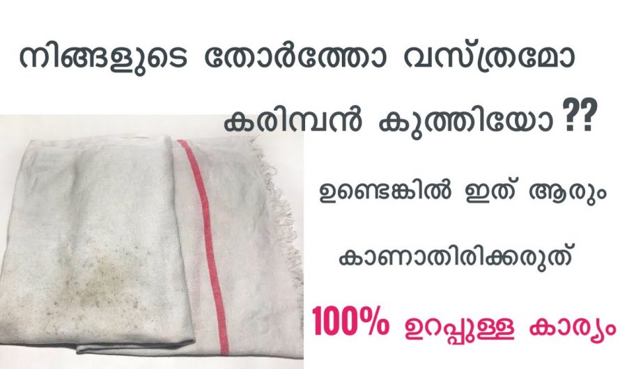 വസ്ത്രങ്ങളിലെ കരിമ്പൻ എളുപ്പത്തിൽ നീക്കം ചെയ്യാൻ..